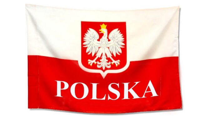 Gry w języku polskim – nie zawsze są w takiej wersji